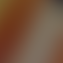 CENTER FOR ETHICAL EXCELLENCE